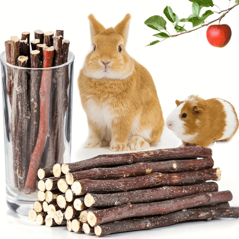 Palitos de Mastigar de Madeira para Roedores - Saúde Dental Natural