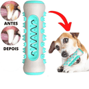 Brinquedo Pet 3x1: Escova de Dente, Removedor de Tártaro e Massageador de Gengivas!