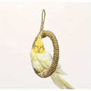 Anel de Balanço Mastigável para Passarinhos - Poleiro Suspenso Durável