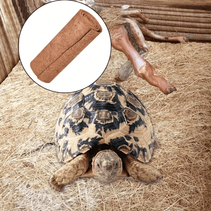 Tapete de Fibra de Coco para Terrários - Natural e Versátil