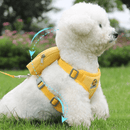 Peitoral com Guia e Bolsa Removível para Cães e Gatos – Conforto e Praticidade para Passeios