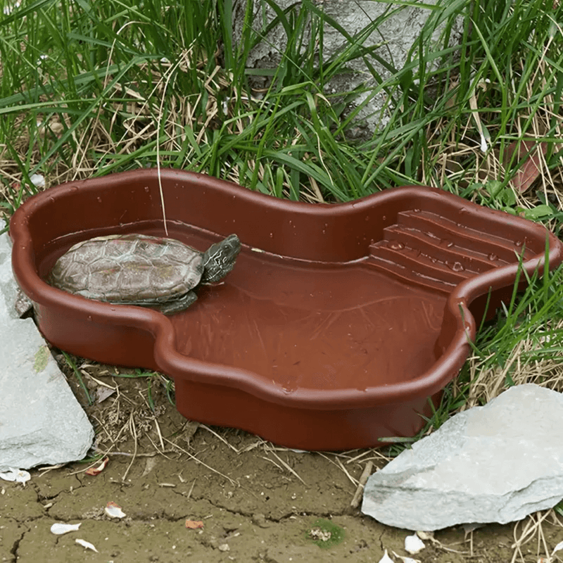 Banheira e Prato 2 em 1 para Tartarugas - Design Exclusivo e Durável