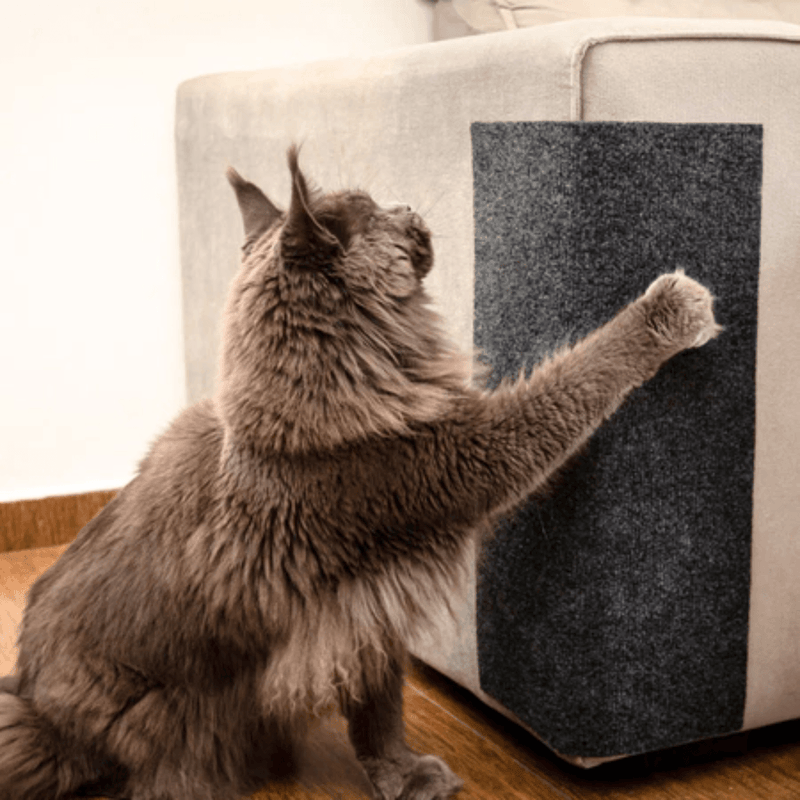 Arranhador Adesivo para Gatos - Proteção para Sofá e Cama Box