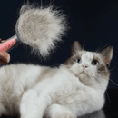 Escova Removedora de Pelos para Cães e Gatos