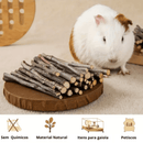 Palitos de Mastigar de Madeira para Roedores - Saúde Dental Natural