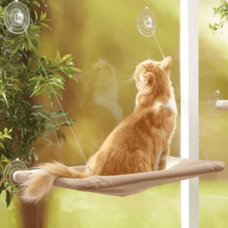Cama Suspensa de Janela para Gatos - Conforto com Vista Perfeita