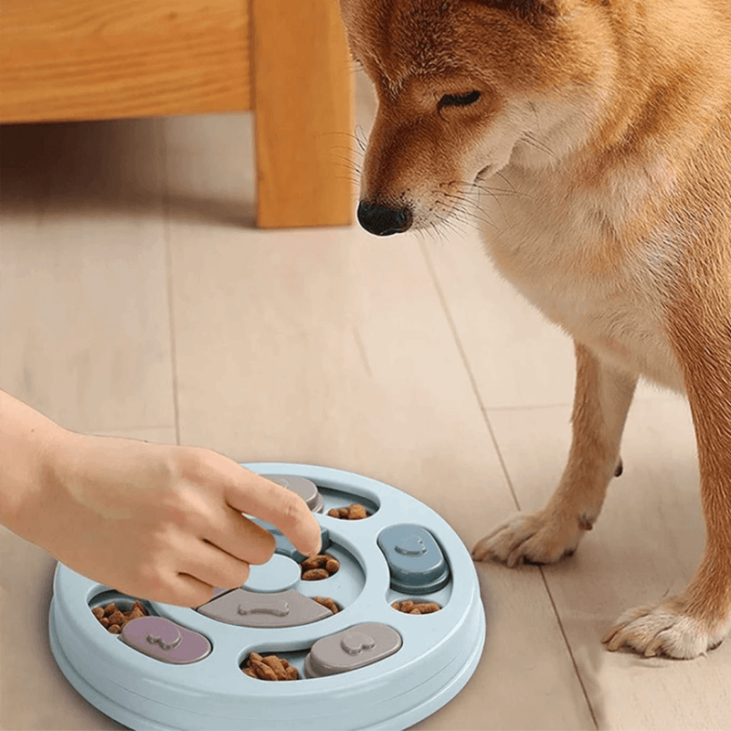 Bola de Alimentação Interativa: Diversão e Estímulo Mental para Seu Cão!