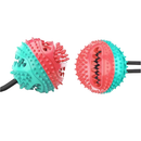 Brinquedo Interativo para Cachorro Corda Mordedor com Ventosa Push Ball