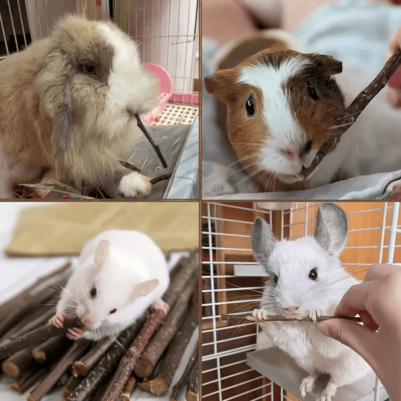 Palitos de Mastigar de Madeira para Roedores - Saúde Dental Natural