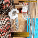 Alimentador e Dispensador de Água para Pássaros