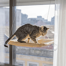 Cama Suspensa de Janela para Gatos - Conforto com Vista Perfeita