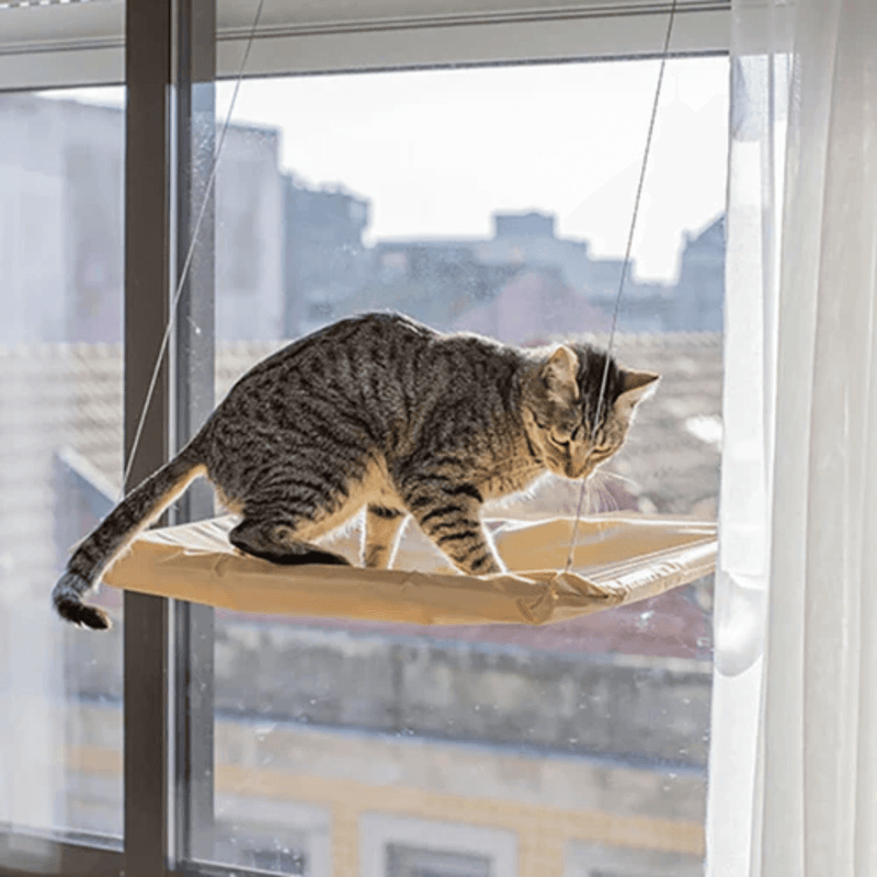 Cama Suspensa de Janela para Gatos - Conforto com Vista Perfeita