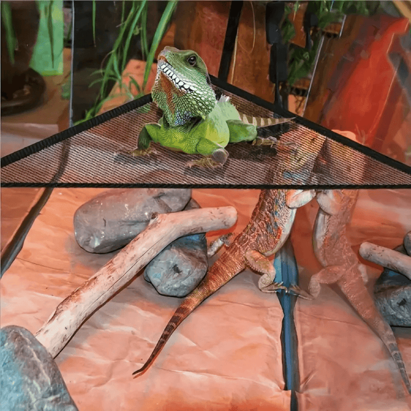 Rede Respirável para Lagartos e Iguanas - Conforto e Versatilidade