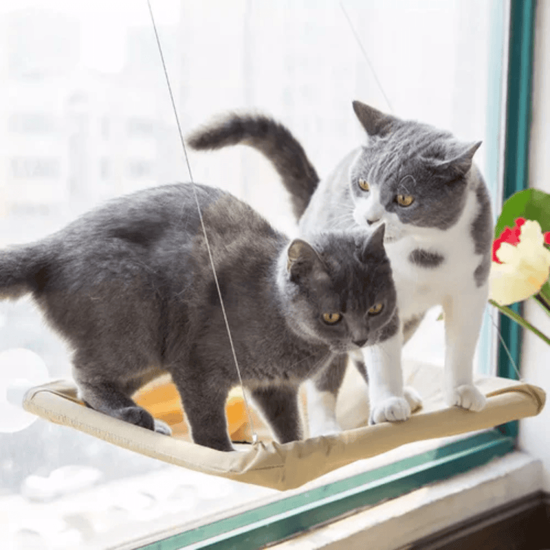 Cama Suspensa de Janela para Gatos - Conforto com Vista Perfeita