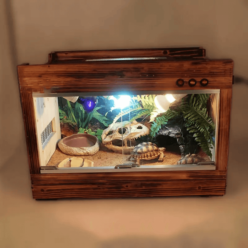 Tapete de Fibra de Coco para Terrários - Natural e Versátil