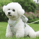 Peitoral com Guia e Bolsa Removível para Cães e Gatos – Conforto e Praticidade para Passeios