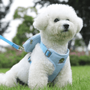 Peitoral com Guia e Bolsa Removível para Cães e Gatos – Conforto e Praticidade para Passeios