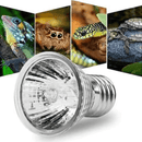 Mini Lâmpada UVA+UVB 25W para Répteis e Tartarugas - Aquecimento Ideal