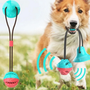 Brinquedo Interativo para Cachorro Corda Mordedor com Ventosa Push Ball