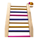 Playground Antiestresse para Pássaros e Calopsitas - Diversão Garantida